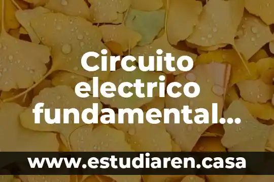 Circuito electrico fundamental que es