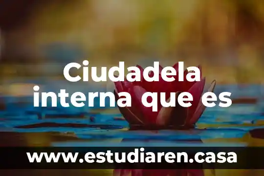 Que es reprecentacion interna 5 Ciudadela interna que es
