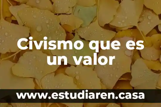 Que es mentalidad como valor 4 Civismo que es un valor