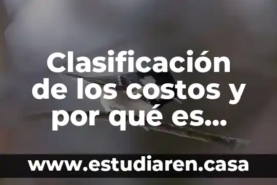 Clasificación de los costos y por qué es importante