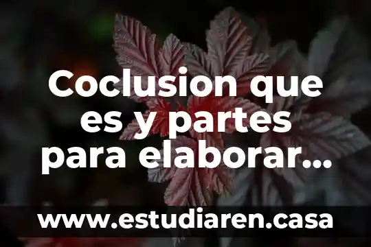 Very good que es 5 Coclusion que es y partes para elaborar una