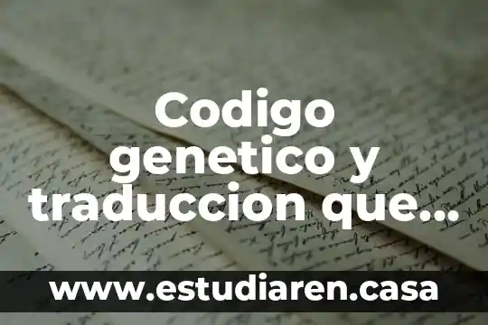 Que es un coste por la traduccion español 3 Codigo genetico y traduccion que es orf
