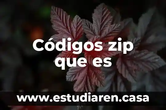 Códigos zip que es