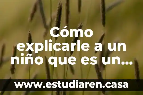 Cómo explicarle a un niño que es un directorio