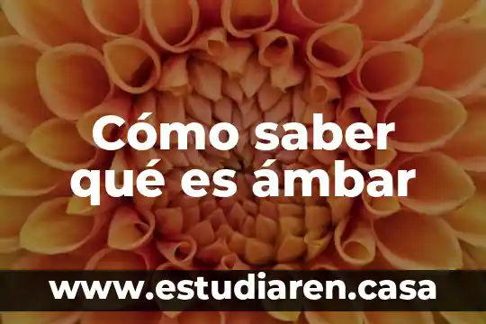 Señora duerme con amiga sin saber que es lesbiana 6 Cómo saber qué es ámbar