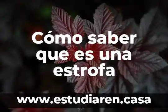 Cómo saber que es una estrofa 13 Cómo saber que es una estrofa