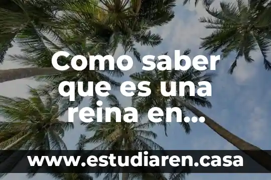 Qué es el gobierno corporativo México 6 Como saber que es una reina en abejorro