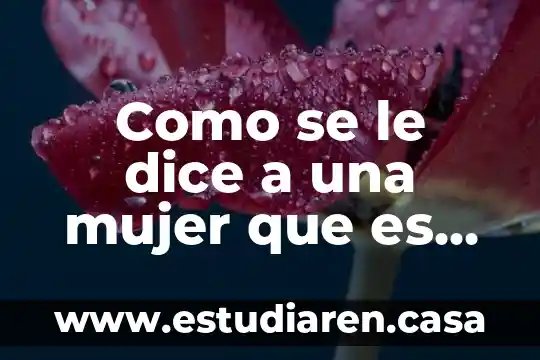 Como se le dice a una mujer que es animal