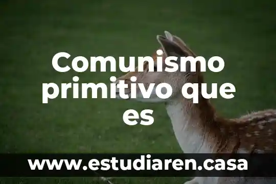 Comunismo primitivo que es