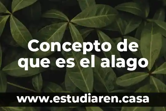 Concepto de que es el alago