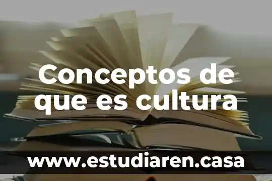Conceptos de que es cultura