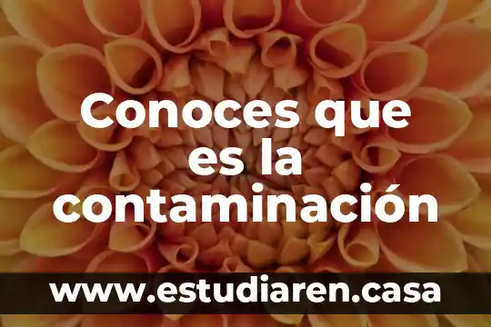 Conoces que es la contaminación