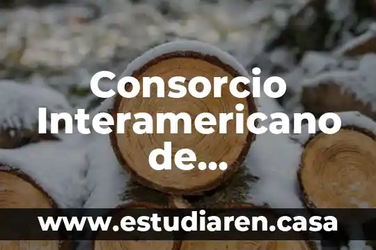 Temblor en el cuerpo que es 4 Consorcio Interamericano de Comunicaci贸n que es