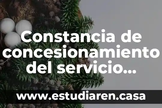 Que es la constancia al programa integral cdmx 5 Constancia de concesionamiento del servicio publico que es