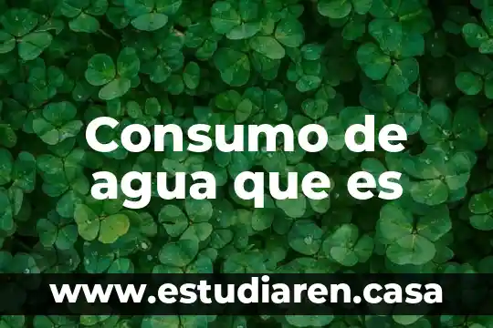 Consumo de agua que es