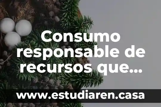Consumo responsable de recursos que es