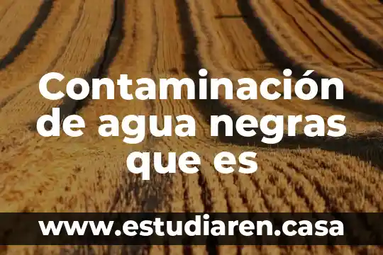 Contaminación de agua negras que es