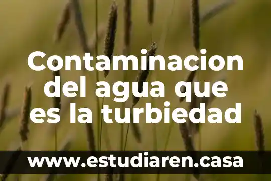 Contaminacion del agua que es la turbiedad