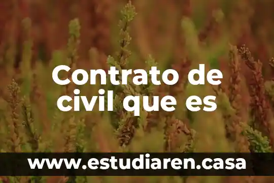 Que es la ejecucion civil 3 Contrato de civil que es