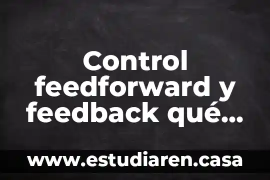 Que es volumen de control para coordenadas cartcians 8 Control feedforward y feedback qué es