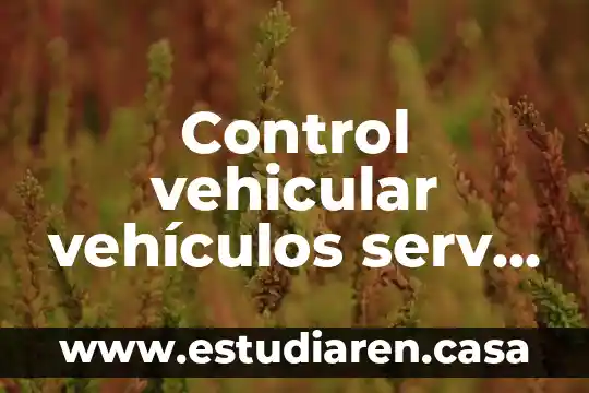 Internación temporal de vehículos que es 3 Control vehicular vehículos serv part 2017 multas que es zacatecas