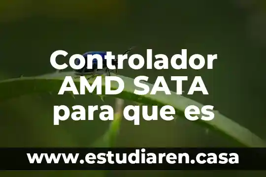 Controlador AMD SATA para que es