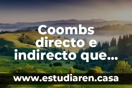 Qué es estilo directo e indirecto en un texto 3 Coombs directo e indirecto que es