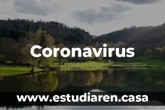 Coronavirus