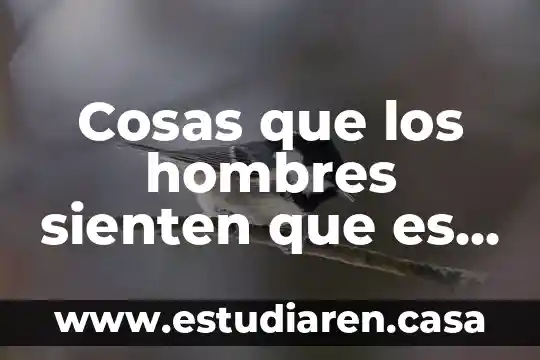 Que es camisa en hombres 7 Cosas que los hombres sienten que es reproche