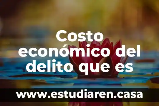Que es costo isp 7 Costo económico del delito que es