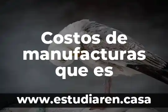 Qué es open workbench costos 5 Costos de manufacturas que es