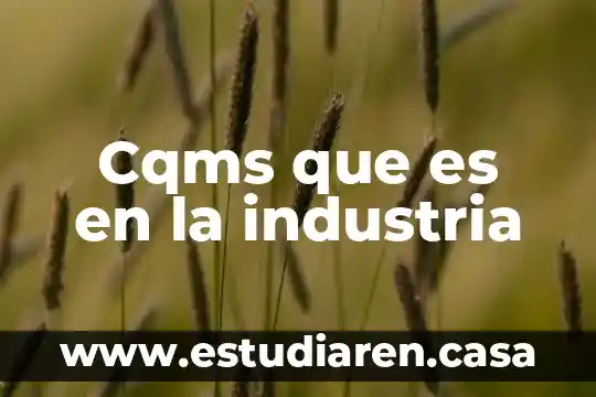 Que es la industria de la limpieza 7 Cqms que es en la industria