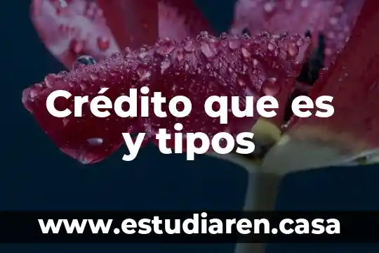 Que es motivacion de cobranza en un departamento de credito 7 Crédito que es y tipos