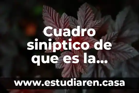 Que es el ambiente un cuento 5 Cuadro siniptico de que es la materia
