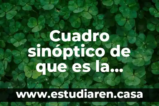 Que es cuadro sinoptico de las medidas cautelares 4 Cuadro sinóptico de que es la educación física