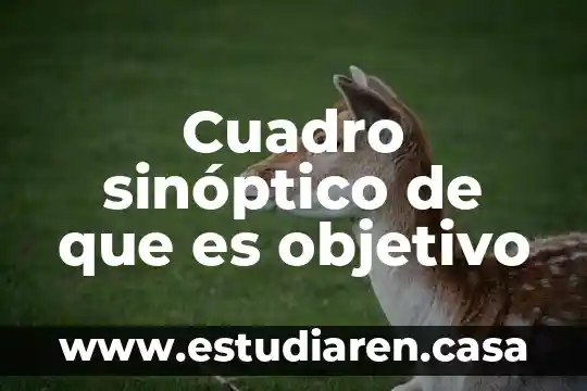 Que es cuadro sinoptico de las medidas cautelares 8 Cuadro sinóptico de que es objetivo