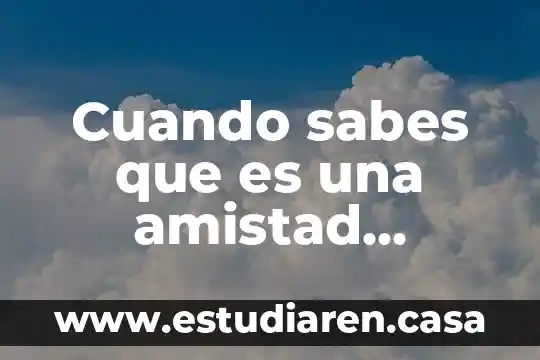 Cuando sabes que es una amistad pasajera