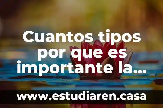 Cuantos tipos por que es importante la narración