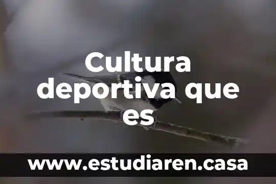Que es una cultura de prevencion 5 Cultura deportiva que es