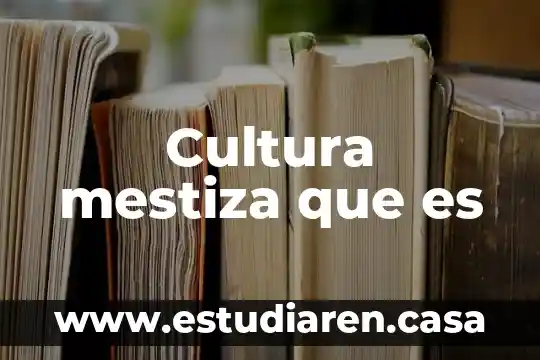 Cultura mestiza que es