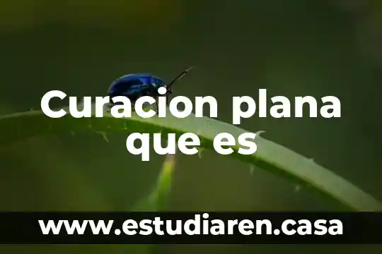 Ver que es una plana o asimutal 4 Curacion plana que es