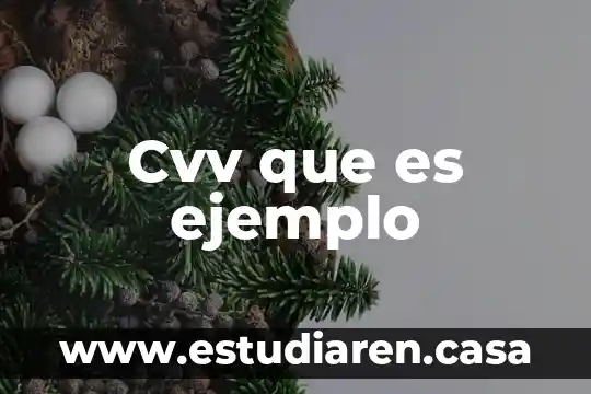 Cvv que es ejemplo