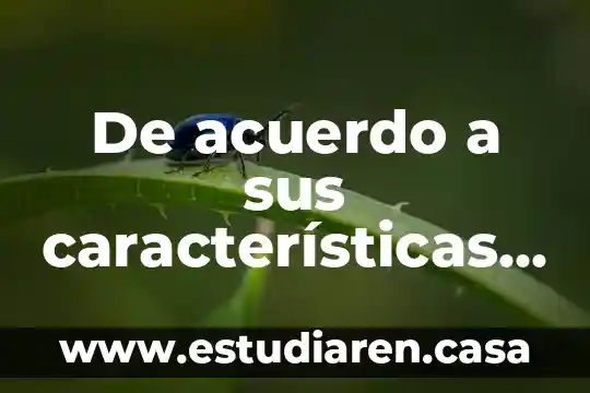 Que es comprender un texto de acuerdo a isabel soleç 4 De acuerdo a sus características que es una Giardia lamblia
