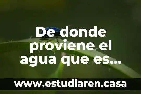 De donde proviene el agua que es utiliza