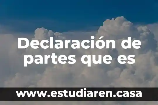Declaración de partes que es