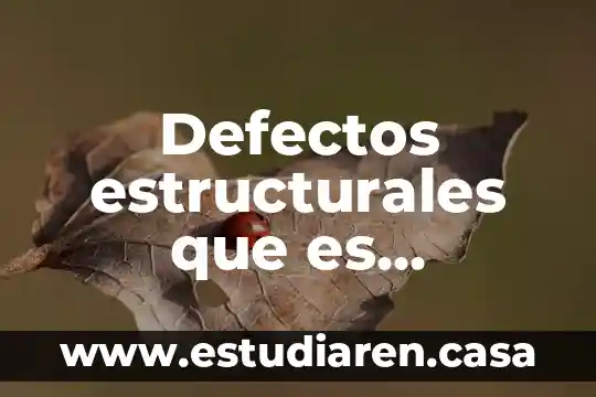 Defectos estructurales que es psicología