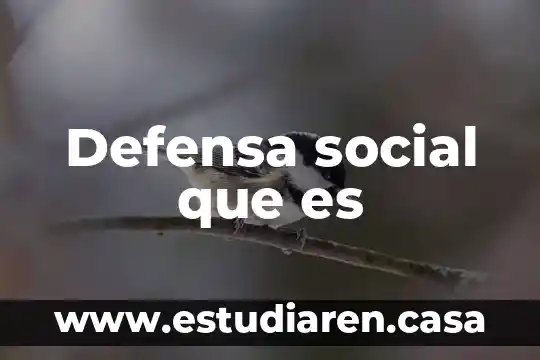 Defensa social que es