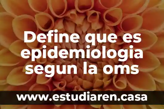 Define que es un permiso de trabajo 3 Define que es epidemiologia segun la oms