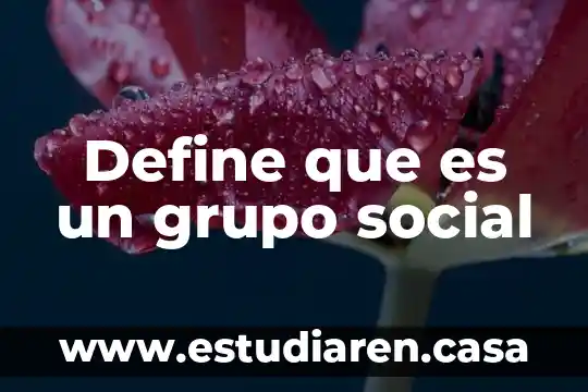 Define que es epidemiologia segun la oms 6 Define que es un grupo social