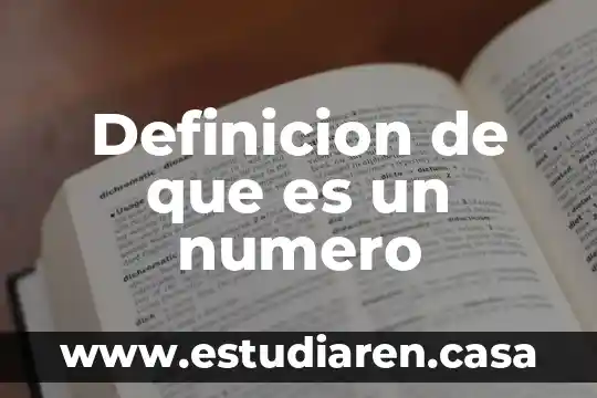 Definicion de que es un numero